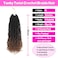 Youngther Yanky twist crochet hair Pre-Twisted Fluffy Spring Mini Twist with curly crochet hair for black women crochet hair pre looped Synthetic hair extension（12inch 1B/4/30 2PCS）