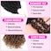 Youngther Yanky twist crochet hair Pre-Twisted Fluffy Spring Mini Twist with curly crochet hair for black women crochet hair pre looped Synthetic hair extension（12inch 1B/4/30 2PCS）
