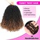 Youngther Yanky twist crochet hair Pre-Twisted Fluffy Spring Mini Twist with curly crochet hair for black women crochet hair pre looped Synthetic hair extension（12inch 1B/4/30 2PCS）