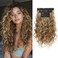REECHO Curly Hair Extensions, 4PCS 16 inch Clip in Hair Extensions Lace Weft Short Curly Hair Extensions Clip Ins Invisible Natural Hairpieces for Women, Light Brown with Blonde Highlights