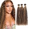 Ombre Curly Bundles Highlight Human Hair Bundles Brazilian Virgin Blonde Curly Human Hair 3 Bundles 10 12 14 Inch Color 4/27 Human Hair Bundle Brown Kinky Curly Bundle Human Hair Extensions