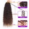 ZRQ 8 Packs Ombre Goddess Locs Crochet Hair 24 Inch Boho Faux Locs Croceht Braids, Ombre Boho Faux Locs Pre Looped Bohemian Locs Crochet Soft Locs With Curly Ends Hair Extension T30#