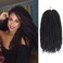 ZRQ 14 Inch Marley Braiding Hair For Faux Locs, 8 Packs Synthetic Marley Hair Crochet Braids, Afro Twist Marley Hair Extensions (1B#,8 Packs)