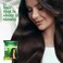 VLCC Henna Hair Color Powder   Herbal Hair Dye for Gray Coverage &amp; Root Touch-Up   Provides Stronger, Smoother &amp; Shinier Hair   No Ammonia, No Chemicals   4.23 Oz (Pack of 3)