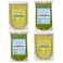 Yauvanya Combo: Henna and Indigo Powder (2X100 gms each) for Lush Hair Color