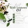 Sidr Leaves Oil -100% Natural Sidr Jujube Leaves Oil - Infused w/Olive Oil- Promotes Healing For Body, Hair &amp; Beard/For Ruqaiya/Skin Care, Dry Scalp, Frizzy Hair, Hair Strengthening- Non-GMO - 30ml