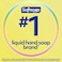 Softsoap Antibacterial Liquid Hand Soap, Kitchen Fresh Hand Soap, 11.25 Fl Oz (Pack of 6)