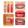 Lip Plump Duck Invasion Lip Gloss Set, 3 Pieces, 0.16 fl oz Each (Set A, 3pcs/Set)