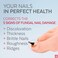 PODERM &ndash; 2 in 1 TOENAIL INTEGRAL RENEWAL &ndash; Restores Appearance of Discolored/Damaged Nails &ndash; Toe and Fingernail Repair &ndash; 100% Natural Ingredients and Vegan &ndash; Quick &amp; Easy &ndash; Swiss Made