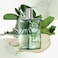 Hermes H24 Herbes Vives Eau De Parfum Rechargeable Spray for Men, 1.6 Ounce
