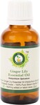 R V Essential Pure Ginger Lily Essential Oil 30ml (1.01oz)- Hedychium Spicatum (100% Pure and Natural Therapeutic Grade)