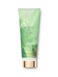 Victoria's Secret Beneath The Palms Fragrance Body Lotion 8 Fl Oz (Beneath The Palms)