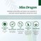 MissDragon Wasabi Noni Soothing Cleanser (3.38 fl.oz.) &ndash; Vegan, Mildly Acidic pH 5.5 Deep Cleanser for Sensitive and Acne-Prone Skin with Gentle Daily Exfoliation