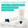 RATAPLAN Water Parsley Calming Cleanser, Acid-Balanced, BHA Salicylic Acid, Remove Sebum Harmful Bateria 5.07 fl.oz 150ml