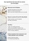 [FINDIVE OFFICIAL] Bakuchiol Ampoule Lip Mask, Bakuchiol, Plan-Based Retinal Alternative 8g