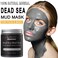 Dead Sea Mud Mask for Face and Body,Deep Cleansing Face Mask for Acne,Pore Minimizer,Natural Skincare Charcoal Blackheads Remover,Skincare Spa Clay Facial Mask for Women &amp; Men 11.28fl.oz