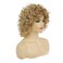 Short Blonde Curly Wig for White Women Natural Looking Synthetic Halloween Cosplay Costume Wig