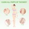 Wax Strips Hair Removal,40 Strips(20 Double-Sided Strips)Body Wax Strips for Women Arms,Legs,Underarm Hair,Eyebrow (Green)