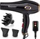 VAGARY 6685G Professional Salon Hair Dryer 2200w with Icd Display,Negative Ionic Blow Dryer,Powerful AC Motor Blow Dryer,Low Noise Hair Dryers,2 Speeds and 2 Heat Settings 1 Cool Shot Button