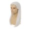 White Straight Wigs for Men Long White Male Hair Halloween Cosplay Anime Wigs