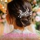 Evild Bridal Hair Pins Flower Bride Headpieces Pearls Hair Clips Crystal Wedding Hair Accessories for Brides and Bridesmaids(Pack of 3) (Silver)