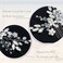 Unicra Bride Flower Wedding Hair Comb Crystal Bridal Silver Side Comb Pearl Hair Accessorie for Women and Girls (A-Silver)