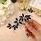 Casdre Crystal Bride Wedding Hair Comb Silver Leaf Bridal Hair Accessories Rhinestone Party Prom Hair Piece for Women and Girls (D Black)