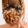 Unicra Bride Wedding Black Hair Pins Bridal Crystal Hair Piece Hair Accessories for Women and Girls (Pack of 2)