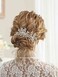 Unicra Rhinestone Bride Wedding Hair Pins Bridal Hair Clips Crystal Hair Piece Decorative Bridesmaids Hair Accessories for Women and Girls Pack of 2 (A-Silver)