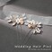 Unicra Bride Wedding Hair Pins Bridal Flower Hair Pieces Crystal Hair Accessories Pearl Party Hair Clips Rhinestone Hair Jewelry Bead Headpiece for Women and Girls (Pack of 2) (A-Silver)