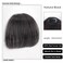 Short Clip on Bangs, 100% Real Human Hair French Bangs Black Thick Bangs Clip in Straight Neat Bangs Fringe without Temple Hairpiece Hair Extension for Women(Black)