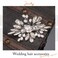 JONKY Bride Crystal Hair Clips Silver Pearl Hair Barrettes Sparkly Rhinestone Hair Piece Wedding Hair Accessories for and Women