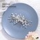 Catery Rhinestone Hair Combs Silver Flower Wedding Hairpieces Bridal Side Clips Accessories for Brides and Women