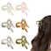 Butterfly Hair Clips for Women Girls,Hair Bows Claw Clips Jelly Butterfly Clips Nonslip Bow Clips Coquette Hair Styling Accessories,6PCS