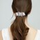 EVER FAITH Women's Austrian Crystal Wedding Art Deco Leaf Barrette Hair Clip Clear Silver-Tone