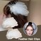 mdgfge White Feather Hair Clips White Swan Feather Headpiece with Pearl Ear Clips Ballet Style Hair Barrettes Accessory for Women Girls Bridal Wedding Cosplay Show Dancing Party Decoration (2 Pcs)