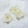 Handmade Beaded Bridal Hair Accessories - Floral Hair Clips and Combs for Women