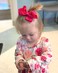 C&Eacute;LLOT 40 PCS 4.5 Inch Hair Bows for Girls Grosgrain Ribbon Boutique Hair Bow Alligator Clips Hair Accessories for Baby Girls Toddlers Kids in Pairs