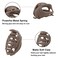 Hair Claw Clips for Women, Girls &amp; Kids - Thin to Thick Hair, 2.6 Inch Strong Matte Flower Jaw Clips, Non-Slip Clamps with Gift Box (6 Packs)