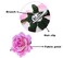 ALIMITOPIA Flower Hair Clip Fabric Artificial Rose Flower Hairpin Barrette Brooch Headdress Bobby Pins Headwear Hair Accessories for wedding Party supplies(Rose Style;4.3 inches;6pcs)