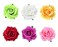 ALIMITOPIA Flower Hair Clip Fabric Artificial Rose Flower Hairpin Barrette Brooch Headdress Bobby Pins Headwear Hair Accessories for wedding Party supplies(Rose Style;4.3 inches;6pcs)