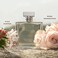 Ralph Lauren - Romance - Eau de Parfum - Women's Perfume - Floral &amp; Woody - With Rose, Jasmine, and Berries - Medium Intensity