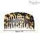 French Amie Tokyo Handmade Medium 16 Teeth Celluloid Acetate Side Hair Comb