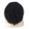 Curly Afro Wig Kinky Curly Wigs for Black Women Kinky Curly Wig Black Women Heat Resistant Hair for African Women (18")