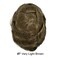 Mens Toupee for Men Hair System for men Human Hair Piece Replacement Ultra Thin Skin Mens Hair Unit All V-Looped Hairpieces transparent skin Toupee for Men(#7 Very Light Brown, 8"x10")
