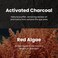 BLAQ Award Winning Under Eye Patches for Dark Circles and Puffiness, Premium Under Eye Mask with Red Algae, Hyaluronic Acid and Activated Charcoal. Vegan and Cruelty-Free, 30-Pack.