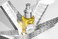 Huile Absolue Organic Skin Booster Serum (1.7 oz   50 ml)