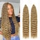 Ocean Wave Crochet Hair 24 Inch 2 Packs Deep Wave Curly Braiding Hair Extensions Synthetic Curly Crochet Hair For Black Women(24inch, 2pack, 27)