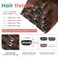 Clip in Human Hair Extensions Remy Chocolate Brown Hair Extensins Clip in Straight Real Hair Extensions Natural Hair 7pcs 120g 20 Inch