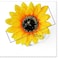 Sunflower Hair Barrettes Hair Clips for Women Girls Daisy Alligator Hair Clips for Teen Girls Summer Beach Hair Pins 4pcs